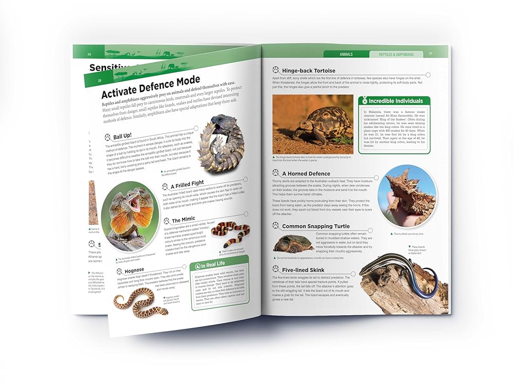 Animals: Reptiles and Amphibians (Knowledge Encyclopedia For